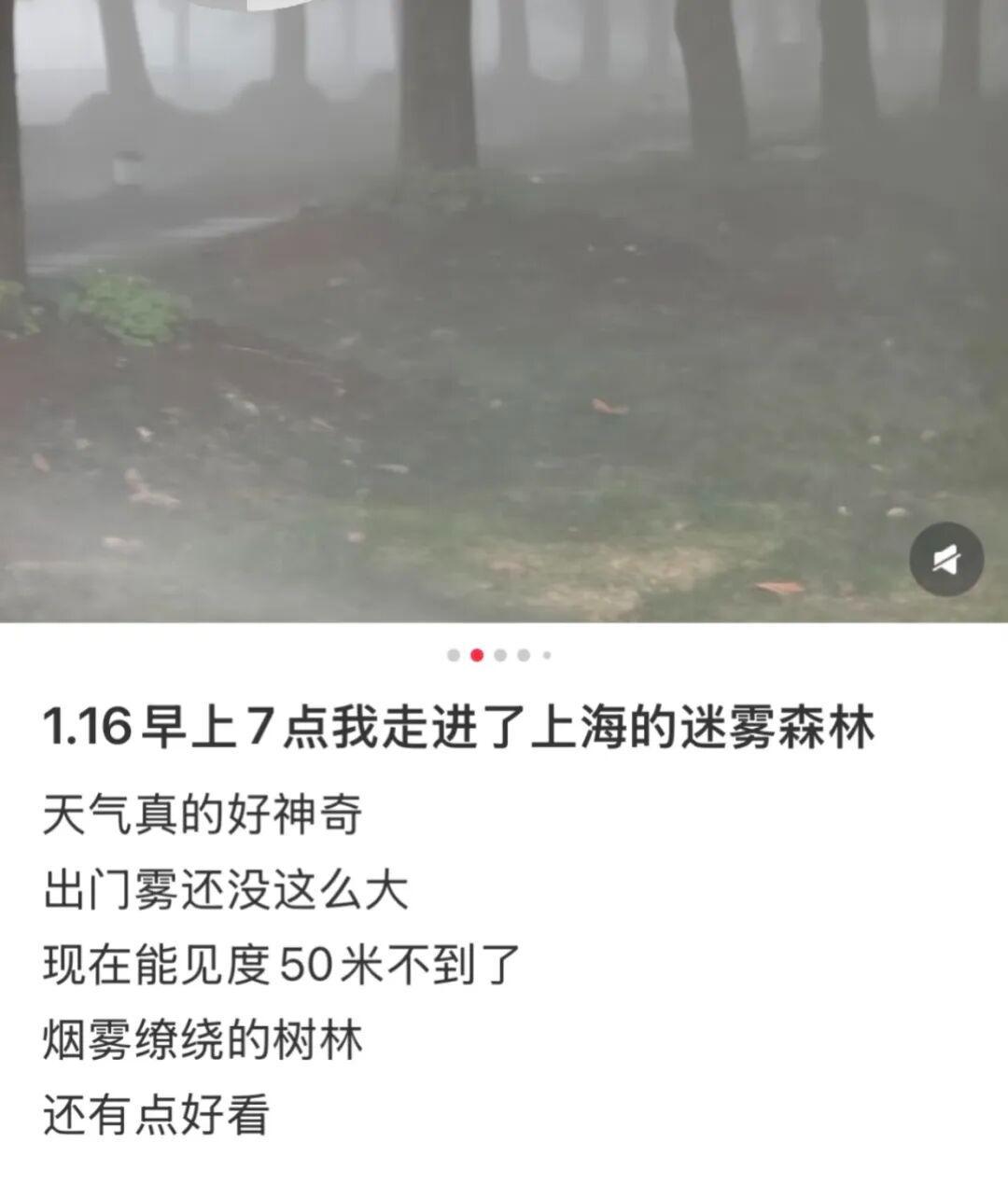 九游娱乐官方网站-上海：入冬以来最强雨雪冰冻将袭！网友：没见过这么大雾，路口竟看不到红绿灯！